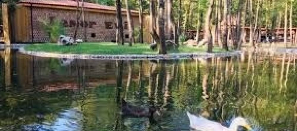 Ormanya Doğal Yaşam Parkı: Doğayla İç İçe Unutulmaz Bir Deneyim
