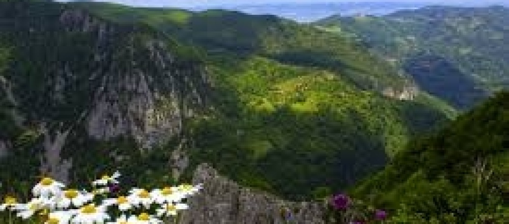 Beşkayalar Tabiat Parkı: Doğanın Kalbinde Unutulmaz Bir Macera