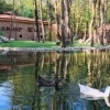 Ormanya Doğal Yaşam Parkı: Doğayla İç İçe Unutulmaz Bir Deneyim