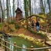 Ormanya Doğal Yaşam Parkı: Doğayla İç İçe Unutulmaz Bir Deneyim