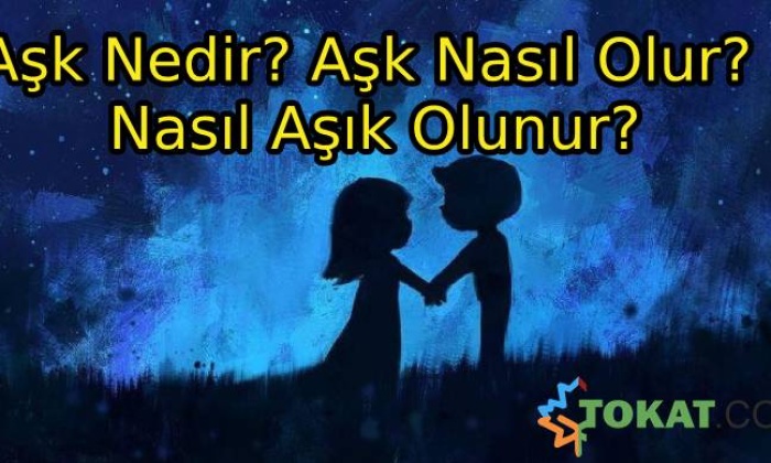 Aşk Nedir? Aşk Nasıl Olur? Nasıl Aşık Olunur?