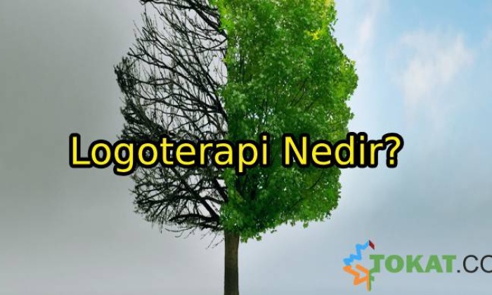 Logoterapi Nedir?