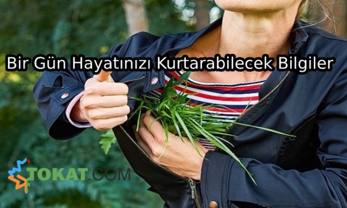 Bir Gün Hayatınızı Kurtarabilecek Bilgiler