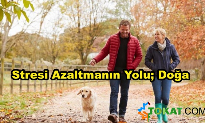 Her Gün 20 Dakika Doğada Olmak Stresi Azaltıyor