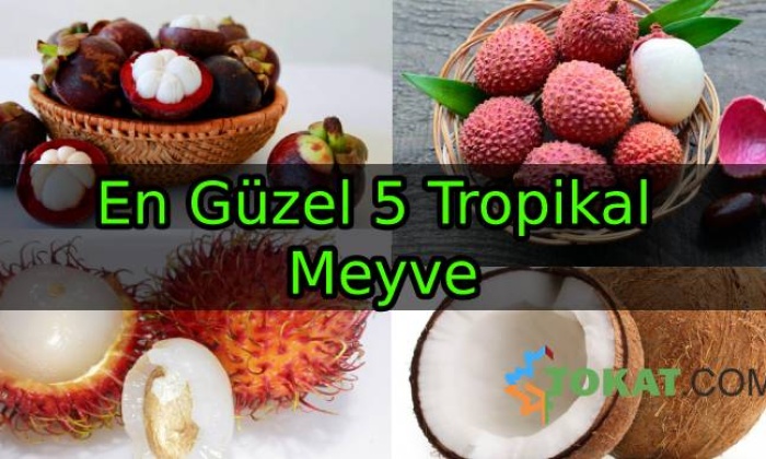 En Güzel 5 Tropikal Meyve