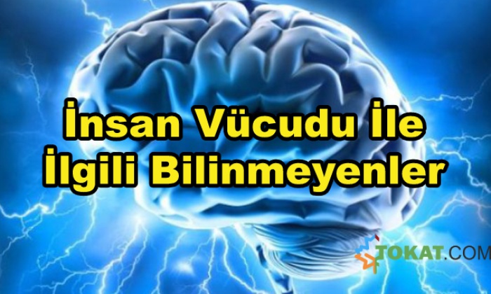İnsan Vücudu Hakkında Mutlaka Bilmeniz Gereken Bilgiler