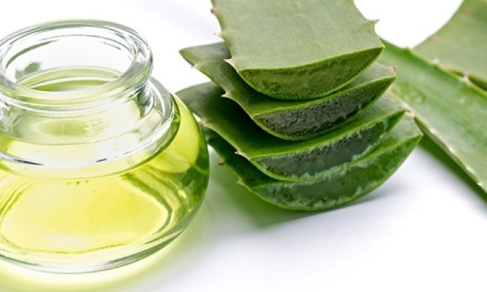 Aloe Vera'nın Sağlığımıza Büyük Faydaları