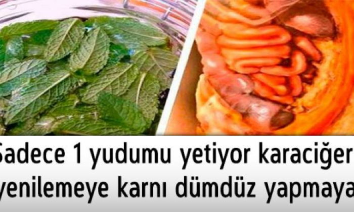 Yalnızca 1 yudumu yetiyor karaciğeri yenilemeye karnı dümdüz yapmaya!